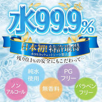 水99.9％ おしりふき 水分たっぷり 厚手タイプ 1パック（54枚入×3個） レック（わけあり品）