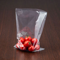 アスクルオリジナル　ポリ袋（規格袋）　LDPE・透明　0.03mm厚　9号　150mm×250mm　1袋（100枚入） オリジナル（わけあり品）