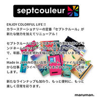 マルマン プラスチックバインダー A4 30穴 背幅19mm パープル F481B-10 1冊（わけあり品）