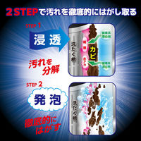 ウルトラハードクリーナー 洗たく槽用 1個 リンレイ（わけあり品）