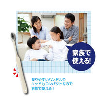 歯科医推奨 エコデント ライスレジン歯ブラシ ふつう 大人・子供向け 6色アソート 1セット（12本入）ラピス 限定（わけあり品）