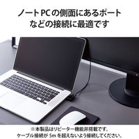 HDMI延長アダプタ L字 右向き 90度 変換 スリムコネクタ ブラック AD-HDAABS03BK エレコム 1個（わけあり品）
