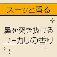 マモルーム Feat. アレルブロック ハウスダスト・花粉用 2ヵ月用セット 1個 花粉対策 室内 アース製薬（わけあり品）