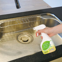 フィトンαコバエよけスプレー 250mL 1セット（1本×3） タジマヤ