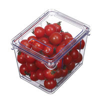 小久保工業所 野菜保存容器 すのこ付き 透明 S KKー646 1個