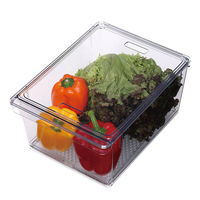 小久保工業所 野菜保存容器 すのこ付き 透明 L KKー648 1個