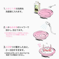 ブラデリスニューヨーク ランジェリーソープ 1000g 香料入 1本 衣料用洗剤