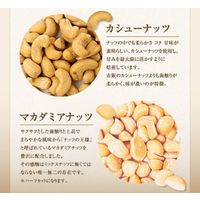 ミックスナッツ 大袋 ジッパー付き ラッキー ミックスナッツ 塩味 600g 1セット（1個×3） 味源