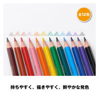 BICジャパン ビックキッズさんかく軸色鉛筆12色 BKEVOTRI12E 1セット（直送品）