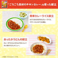 （1才後半頃から2才頃）　WAKODO　和光堂　ぱくぱくプレキッズ　ごろごろ具材のチキンカレー 1セット（1袋×12）