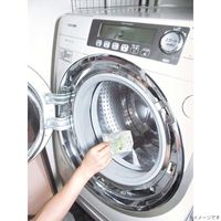 フィトンα ドラム式洗濯槽クリーナー2回分 1箱 タジマヤ