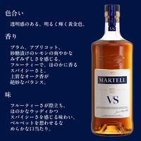 マーテル VS 40度 700ml 1本 ブランデー コニャック 正規品 ペルノリカール