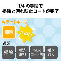 【アウトレット】【Goエシカル】訳あり エレコム クリーナー 液体 除菌 汚れ落とし フッ素コート 時短 300ml HAーCKKC300 1個