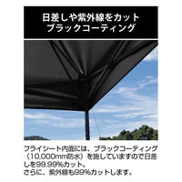 パール金属 CSブラックラベル クイックアップシェート ゙250UV UA-1094 1個（直送品）