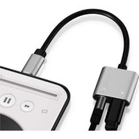 FSC イヤホン端子変換アダプターDAC TypeーC用PD対応充電機能付　＜シルバー＞  1個