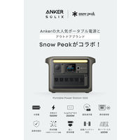 Anker Portable Power Station 1000 A1762N61-72 1台