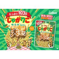 スナック菓子 食べきりサイズ じゃがりこサラダbits 大モリ  100g 1セット(1個×3) カルビー