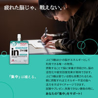 inゼリー（インゼリー） エネルギー ブドウ糖 ラムネ味 1セット（1個（180g）×36） 考えるためのエネルギー補給 森永製菓