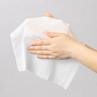 溝端紙工印刷 ウエットタオル ヒノキ 丸型 1セット（100本：50本入×2袋） オリジナル