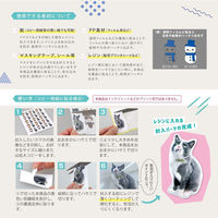 パジコ レジン道具 ホワイトマットシール 日本製 透明 PDC403355 1個