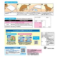 エリエール キミおもい パワフル消臭シート レギュラー 無香タイプ 88枚入 1袋 大王製紙
