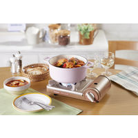 イワタニ カセットフー プチスリムIII CB-JRC-PS3 1台 岩谷産業