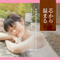 入浴剤 詰め合わせ 温泉の素 露天湯めぐり 4種 1箱 （30g×15包） （にごりタイプ） 粉末 アース製薬（わけあり品）