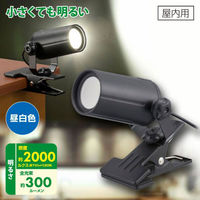 オーム電機 LEDクリップライト 昼白色 ブラック 06-0910 1個（わけあり品）