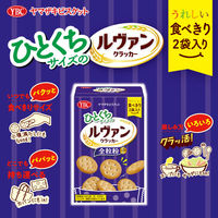 クラッカー ひとくちサイズのルヴァンクラッカー 全粒粉 41g×2パック入 1セット（1個×6）