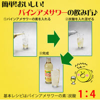 パインアメサワーの素 25度 600ml 1本 リキュール 中野BC