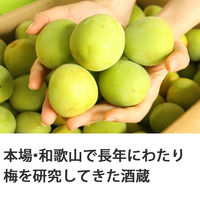 梅シロップ 紀州 梅の初恋 720ml 1本 ノンアルコール