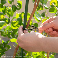 サンワサプライ  結束バンド（屋外用・耐候性・長さ250mm・幅4.8mm・50本入り） CA-624UV（直送品）