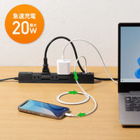 サンワサプライ  回転タップ（AC4個口＋Type-C＋USB-A・PD20W・ブラック） TAP-B113UC-2BK（直送品）