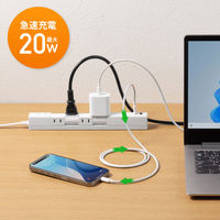 サンワサプライ  回転タップ（AC4個口＋Type-C＋USB-A・PD20W・ホワイト） TAP-B113UC-2W（直送品）