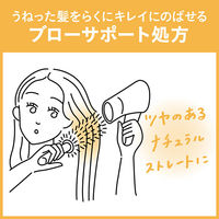 リーゼ　らくらくまっすぐのばせるミスト　150ml　花王