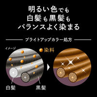 ブローネ ルミエストヘアカラー 1B ナチュラルB 花王