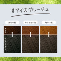 liese（リーゼ） 泡カラー アイスブルージュ 花王