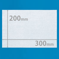 からだふき　ウェットタオルかお・からだ用ウェットシート 大判厚手　メッシュタイプ　無香料　ノンアルコール　1セット（30枚入×10パック）