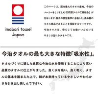 林 タオルハンカチ　日本製(今治)　ガーゼパステルムーン　10枚セット　ブルー(青) PK209601 1セット(10枚入)（直送品）
