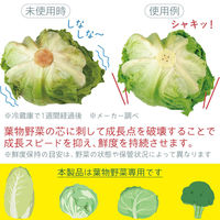 コモライフ 野菜鮮度キーパー 2個組 390327 1セット(2個組)（直送品）