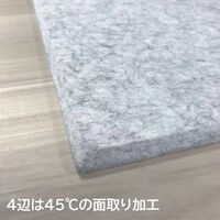 ドリックス フェルメノン 吸音パネル FB- 400×400mm グレー FB-4040C-GY 1セット(30枚入り)（直送品）