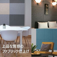 ドリックス フェルメノン 吸音パネル EX- 800×600mm ダークグレイ EX-8060C-DGY 1セット(12枚入り)（直送品）