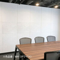 ドリックス フェルメノン 吸音・遮音パネル FMS- 800×600mm ホワイト FMS-8060C-WH 1セット(10枚入り)（直送品）