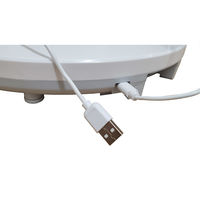 エスケイジャパン モバイルバッテリー対応 扇風機 30CM SKJ-ST300MB 1台（直送品）