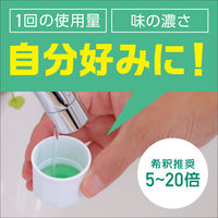 マウスウォッシュ 洗口液 コンパクト モンダミン ペパーミント 濃縮タイプ 220mL 1本 口臭 対策 口内浄化 アース製薬