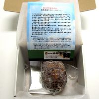【手土産やお祝いの贈り物に】 鹿児島黒牛 の ローストビーフ ギフトカード　スタンダード封筒（直送品）