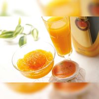 【手土産やお祝いの贈り物に】 「銀座千疋屋」 マンゴードリンク＆まるごとみかんぜりぃ ギフトカード　スタンダード封筒（直送品）