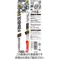 藤原産業 SK11 スーパー阿修羅ビット タフスリム 2P SSAーSP02ー2110 1個（直送品）