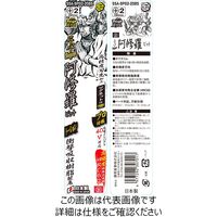 藤原産業 SK11 スーパー阿修羅ビット タフスリム 2P SSAーSP02ー2085 1個（直送品）