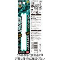 藤原産業 SK11 阿修羅ビット タフワイド マグネット無し 2P SAーWPN2ー2110 1個（直送品）